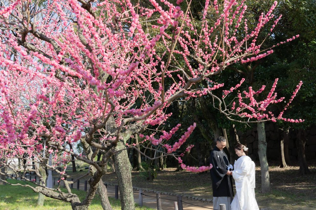 大阪・堺の前撮りフォトスタジオ「ブランフルール」 大阪城公園梅林の和装のロケーション前撮り_8